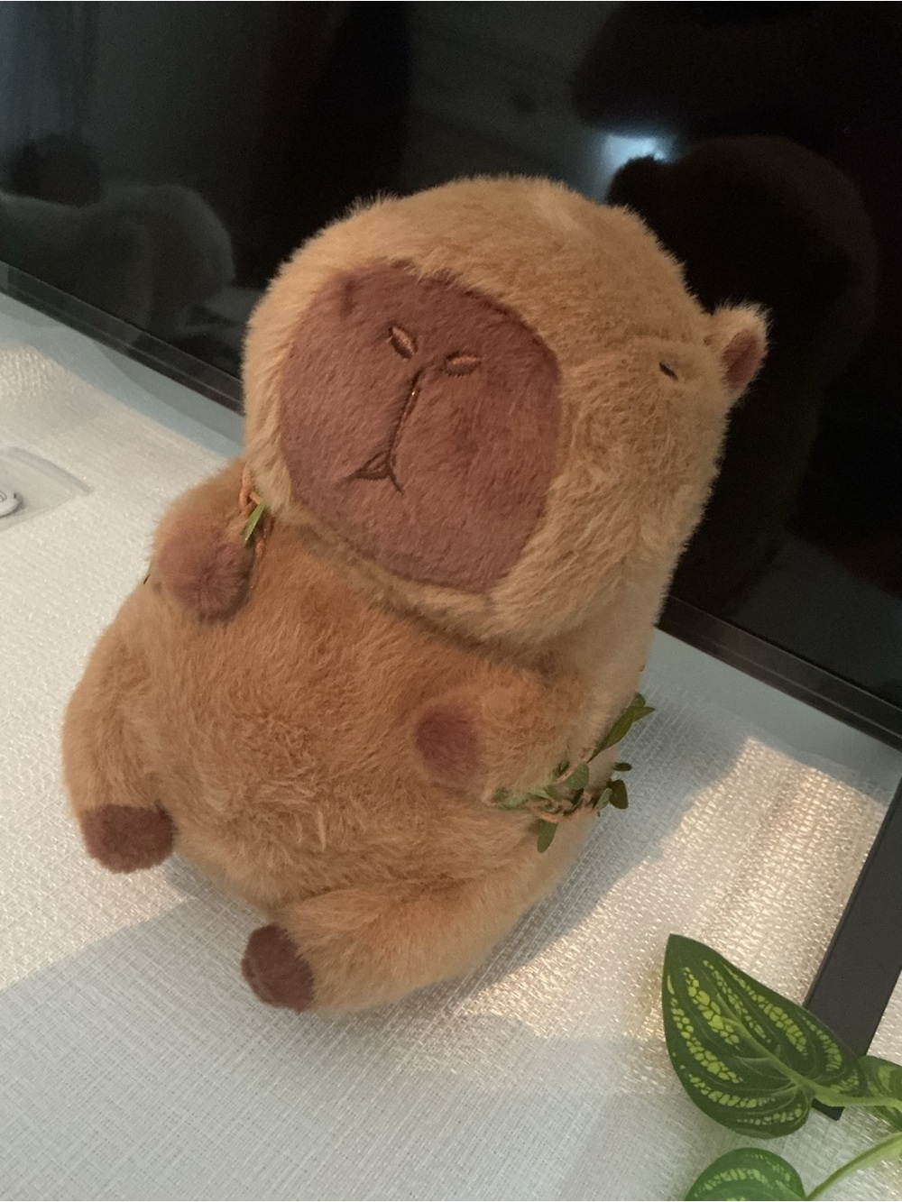 Cute capybara with avocado book bag and it’s very soft - Picture 4 of 5